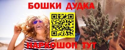 mdma Новодвинск